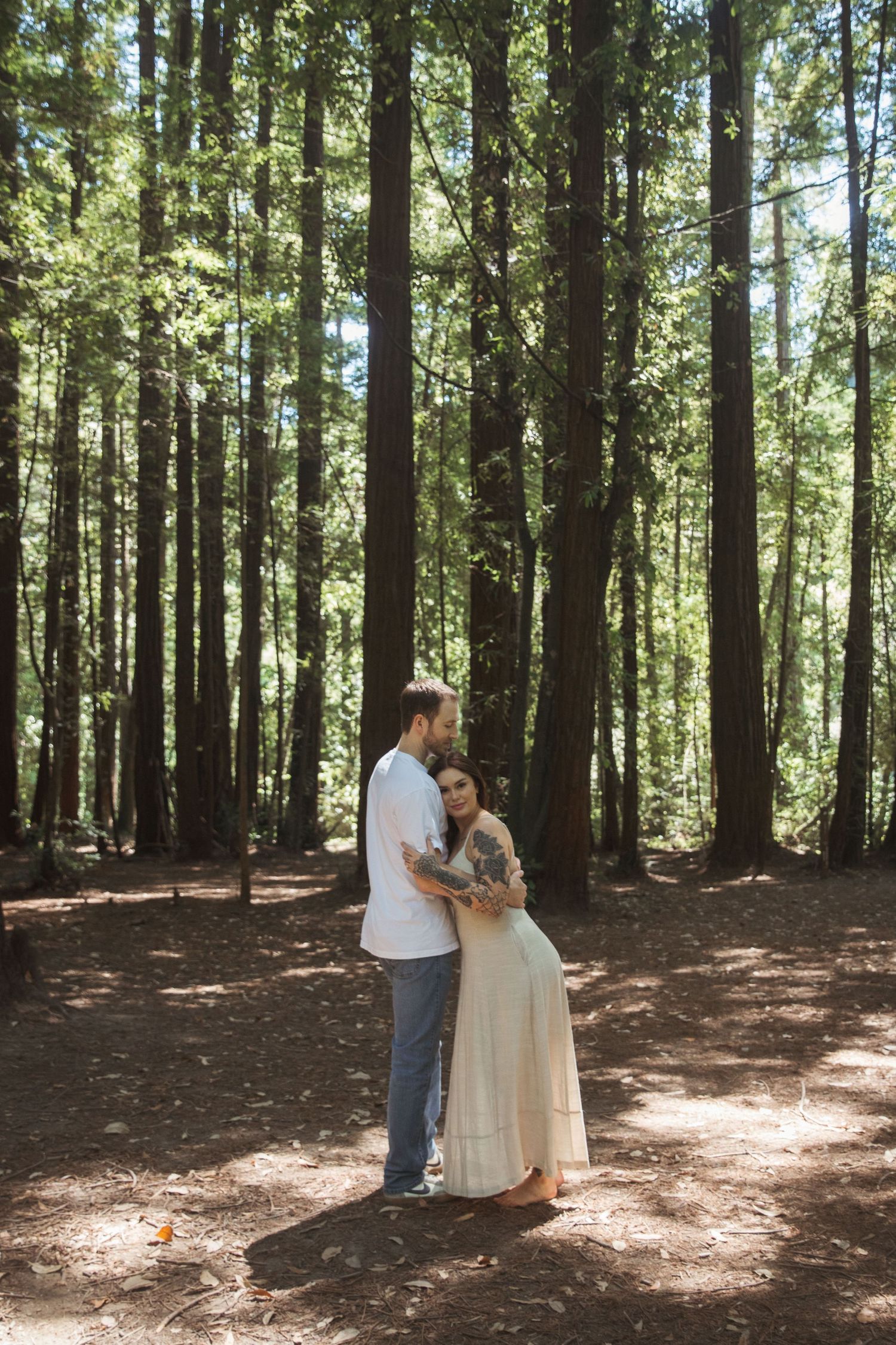 A tender moment between a couple embracing among tall trees in a sunlit forest.