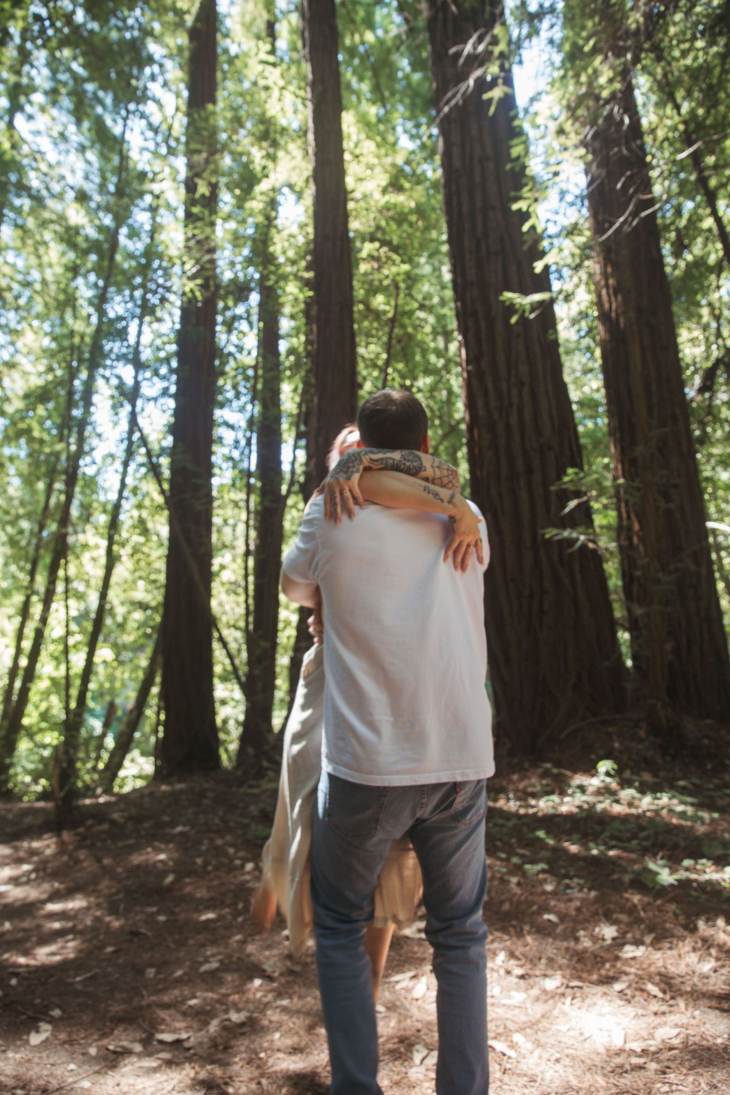 A couple shares an intimate moment while standing among towering redwood trees.