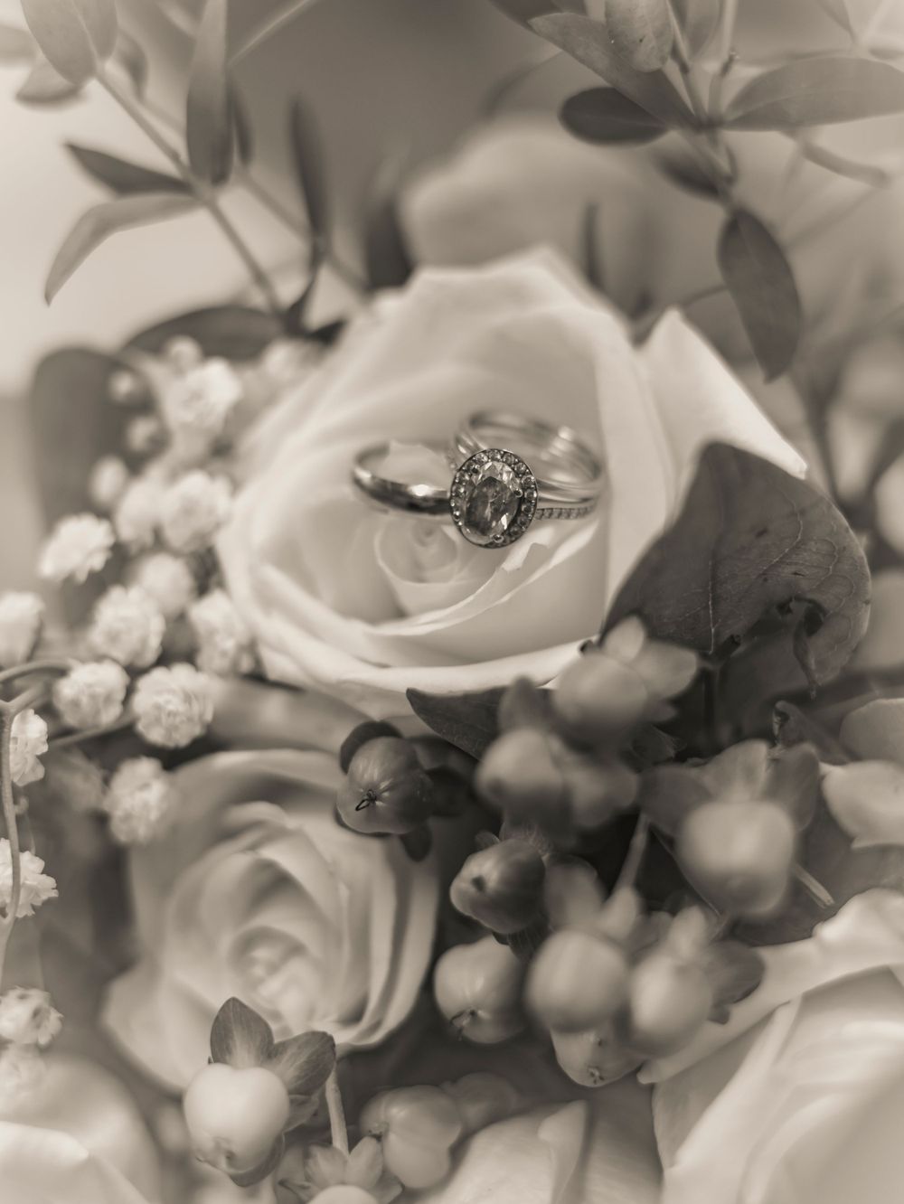 Black and white photo of wedding rings displayed on white roses with delicate baby's breath flowers.