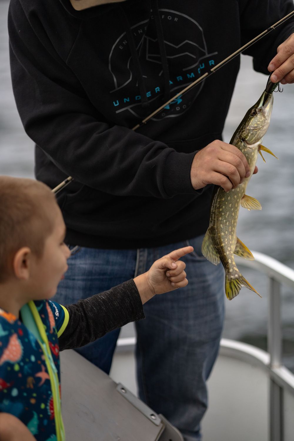 Close-up of a caught northern pike being admired on a fishing boat.