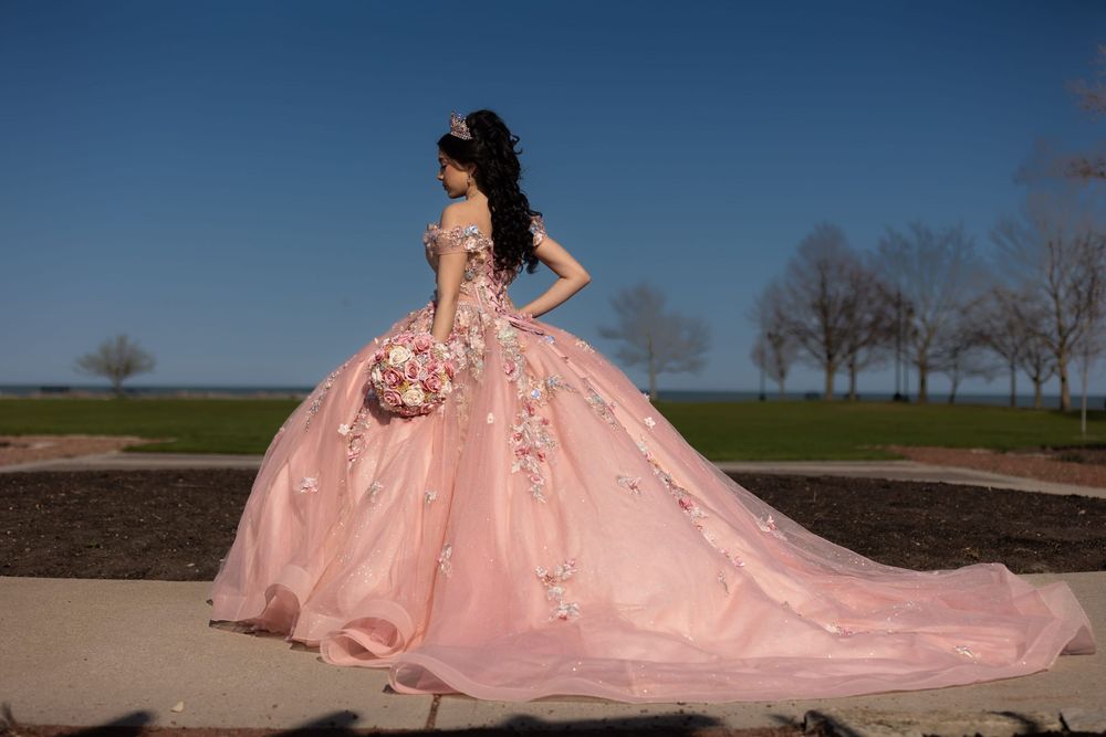 Quinceañera  in a rose gold gown posing at Independence Grove. Professional XV park portraits in Lake County by Alex T Photography.