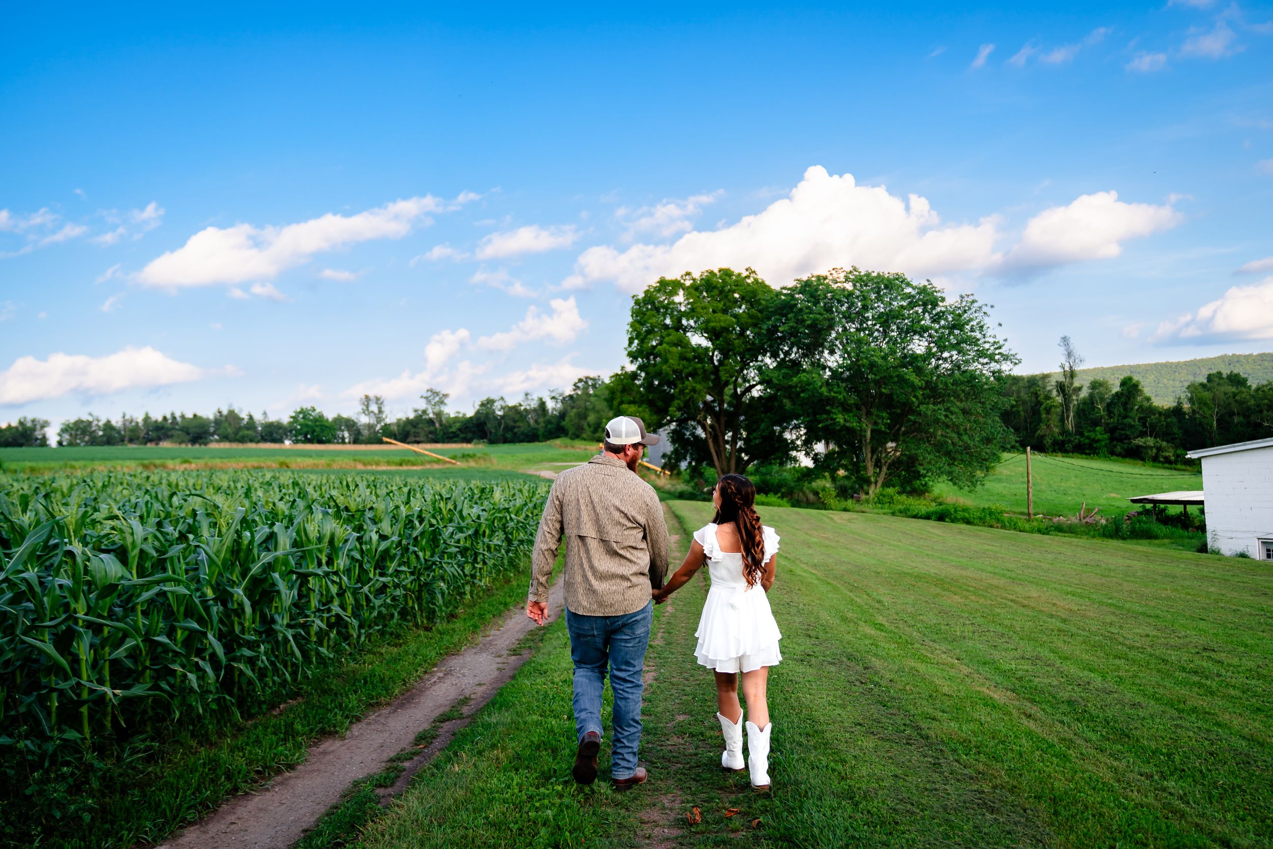 Wide landscape shot of a rural farm path with cornfields and blue skies.