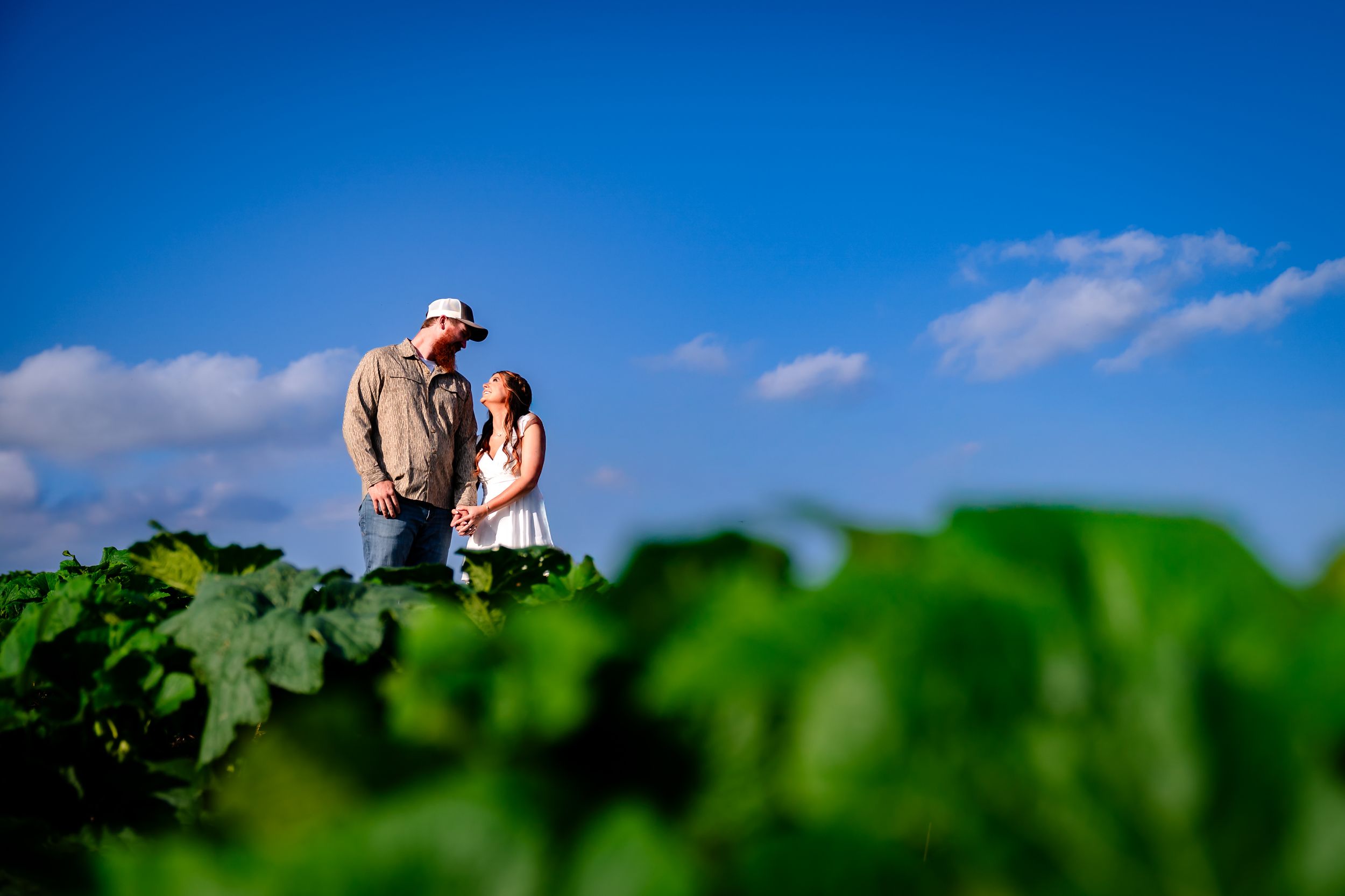 Romantic silhouettes against vibrant blue sky with white clouds in agricultural field.