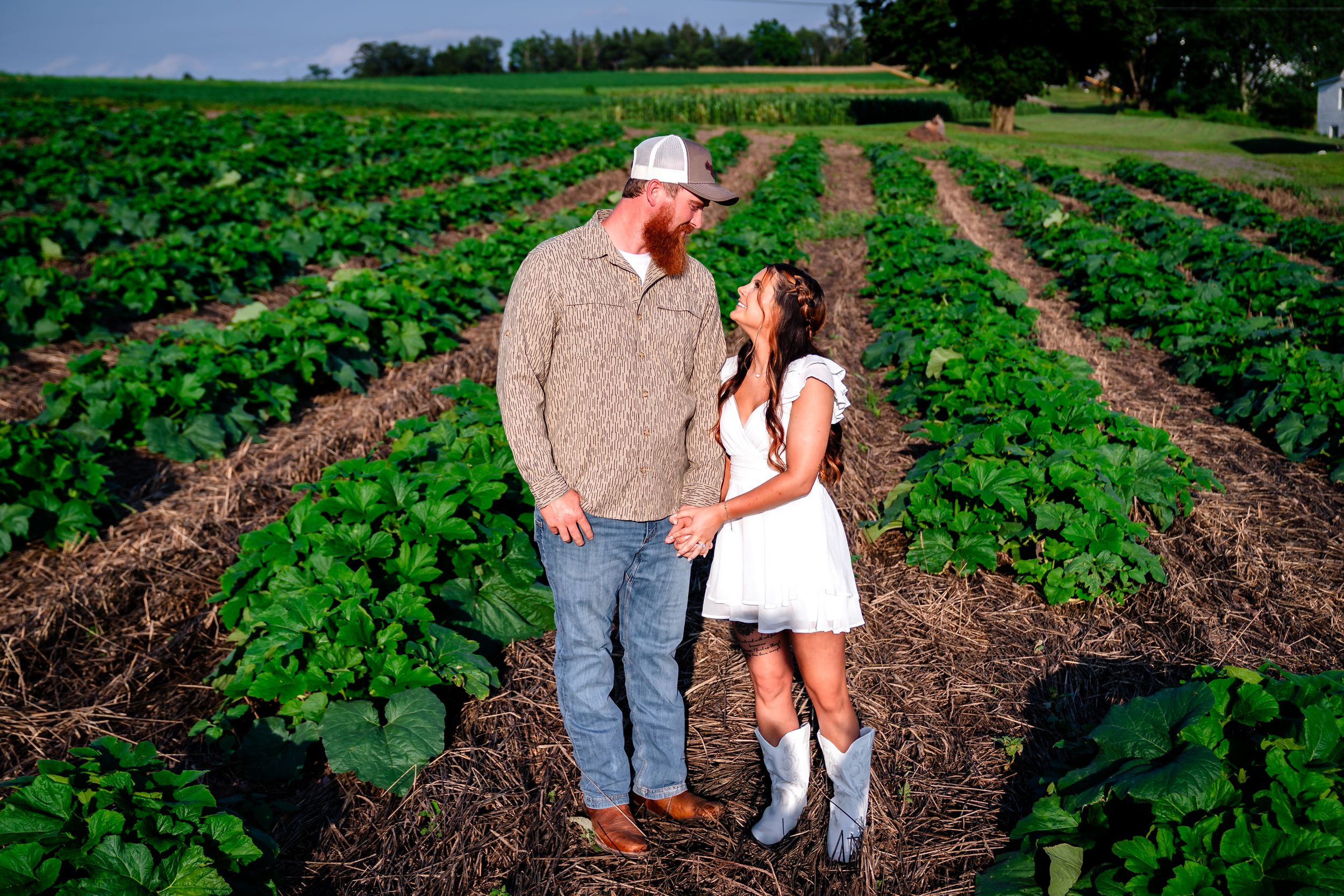 Couple walking through rows of green crops in a farm field.