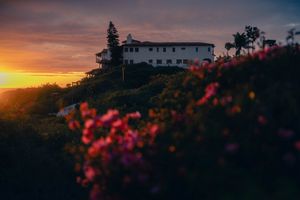 Coastal hillside property silhouetted against a glowing orange sunset with flowering plants in foreground.