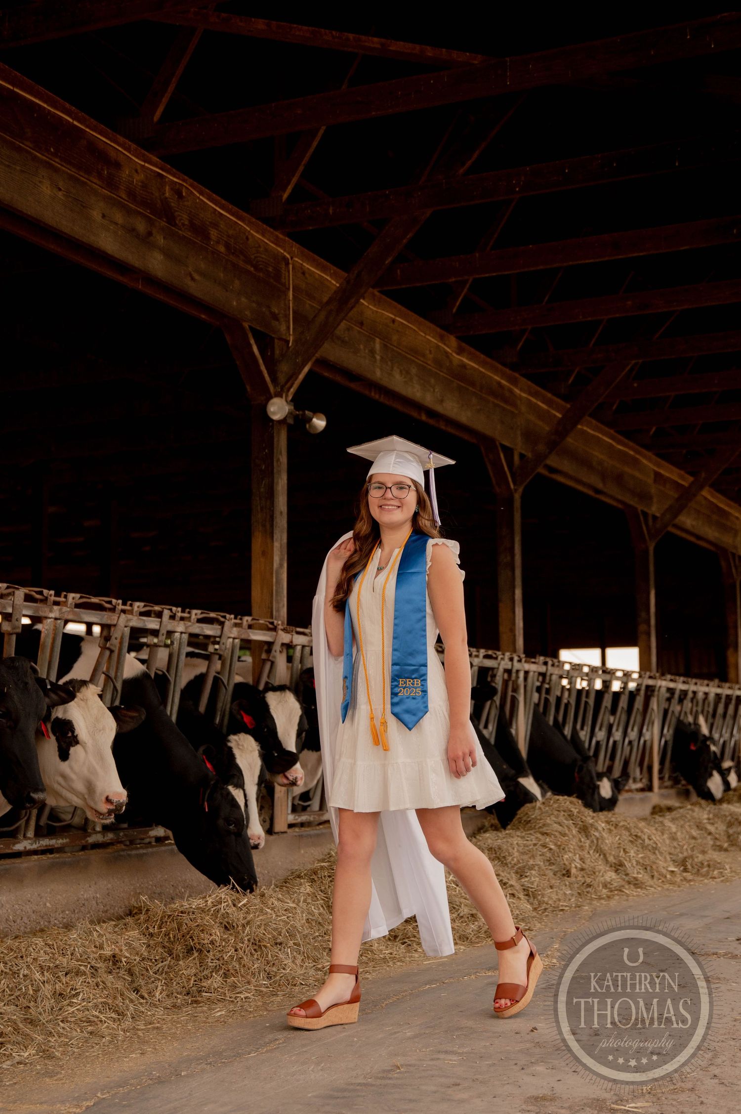 Graduate in white dress and blue stole poses in barn with dairy cows visible in background.