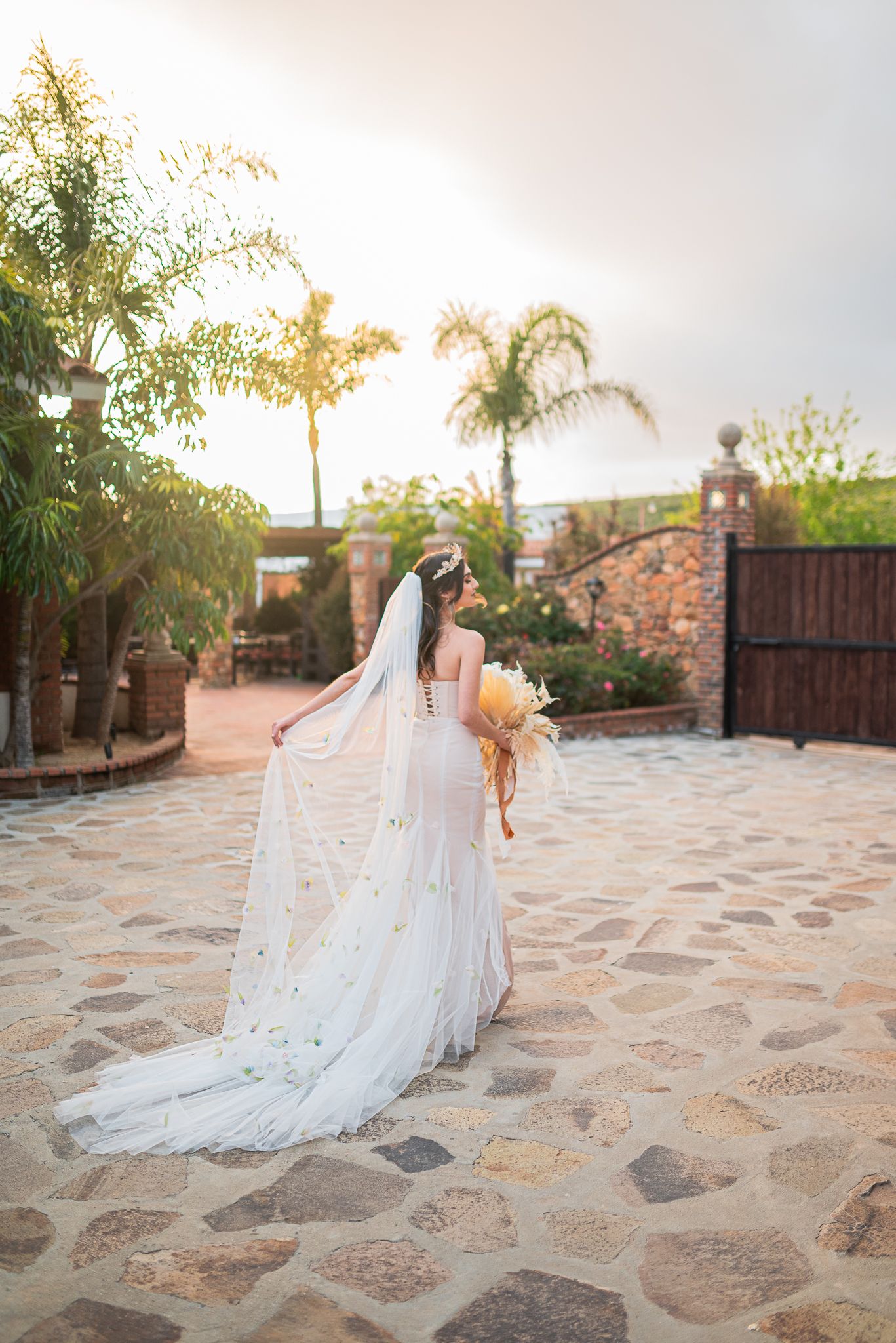 Wedding at Valle de Guadalupe / Wedding Photograph