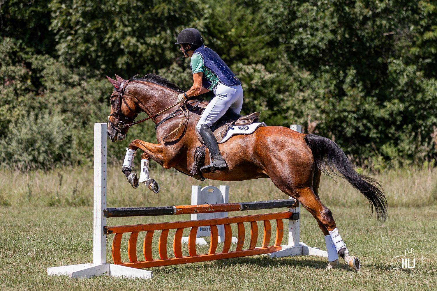A horse and rider clearing a series of orange and white striped show jumping fences in sequence.