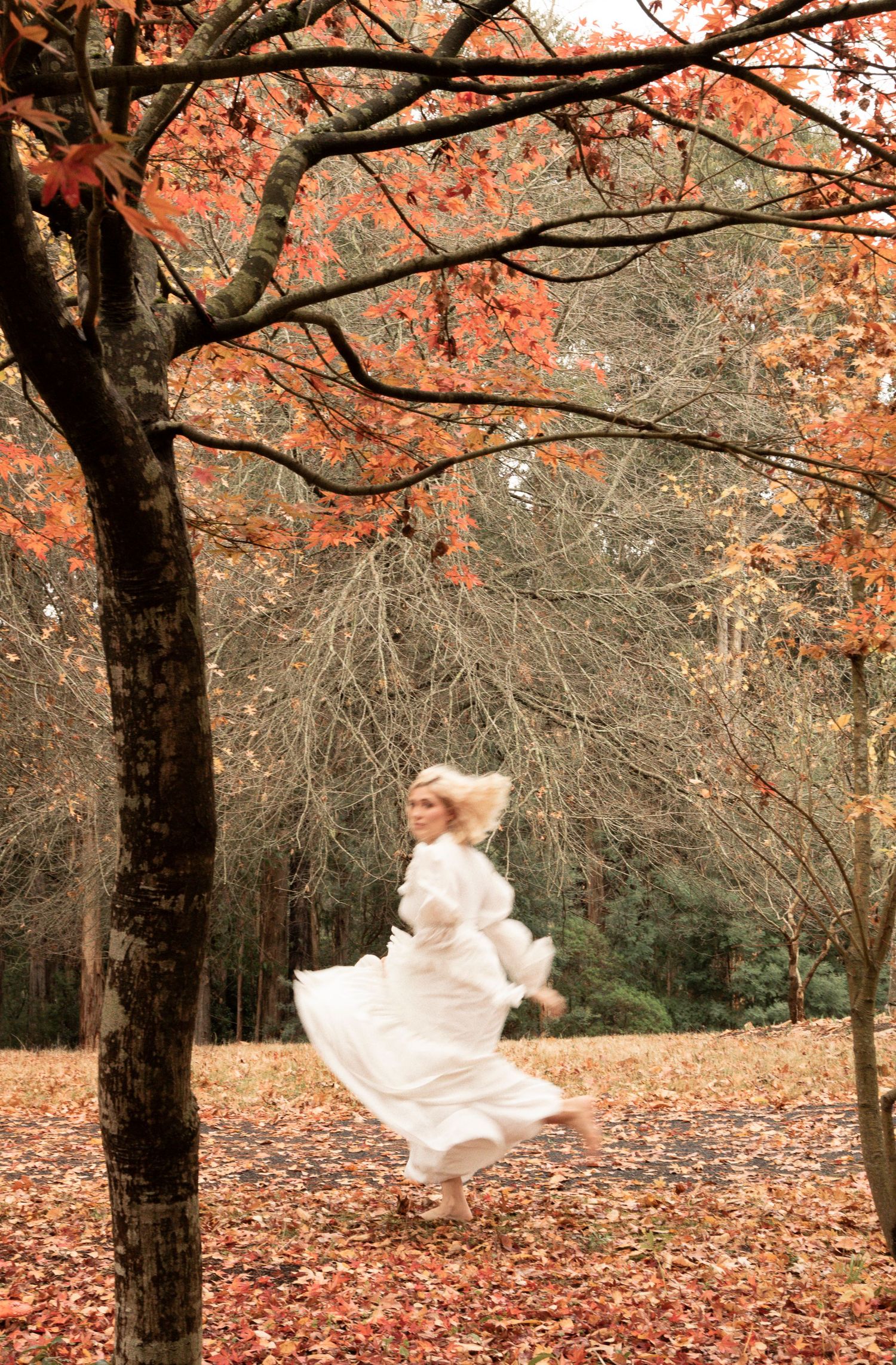 White fabric flowing dramatically among autumn trees with orange leaves.