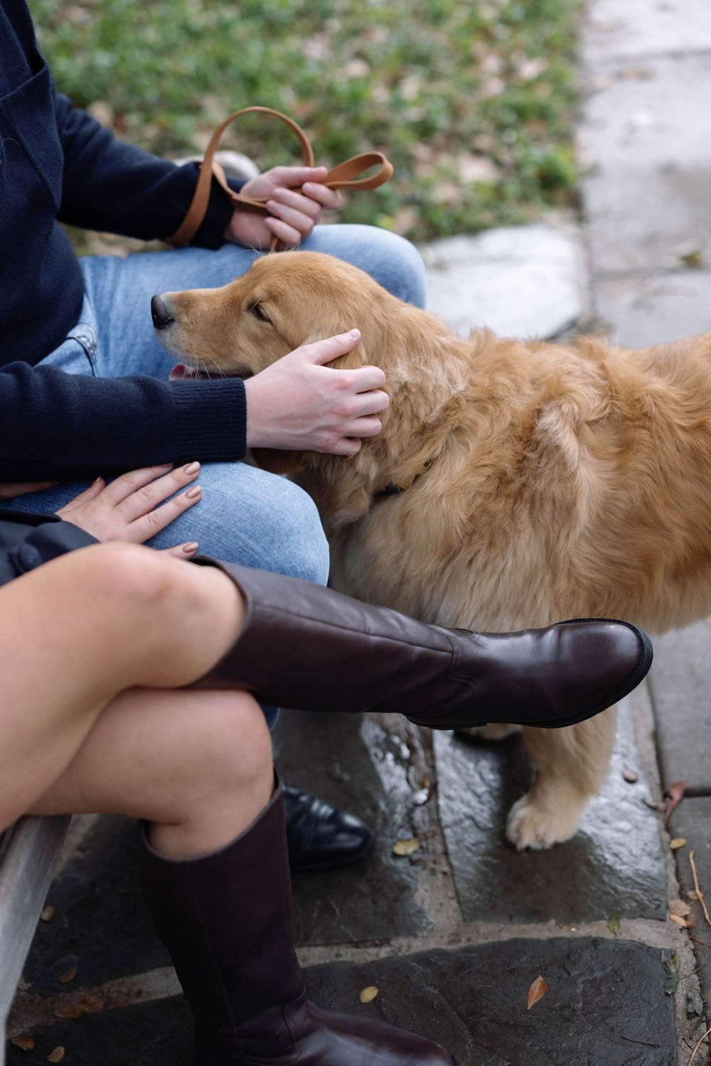 A gentle hand reaches out to pet a resting golden retriever sitting on a stone surface outdoors.