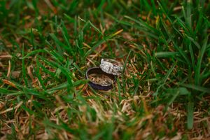A small toad or frog sits camouflaged in green grass with scattered brown leaves around it.