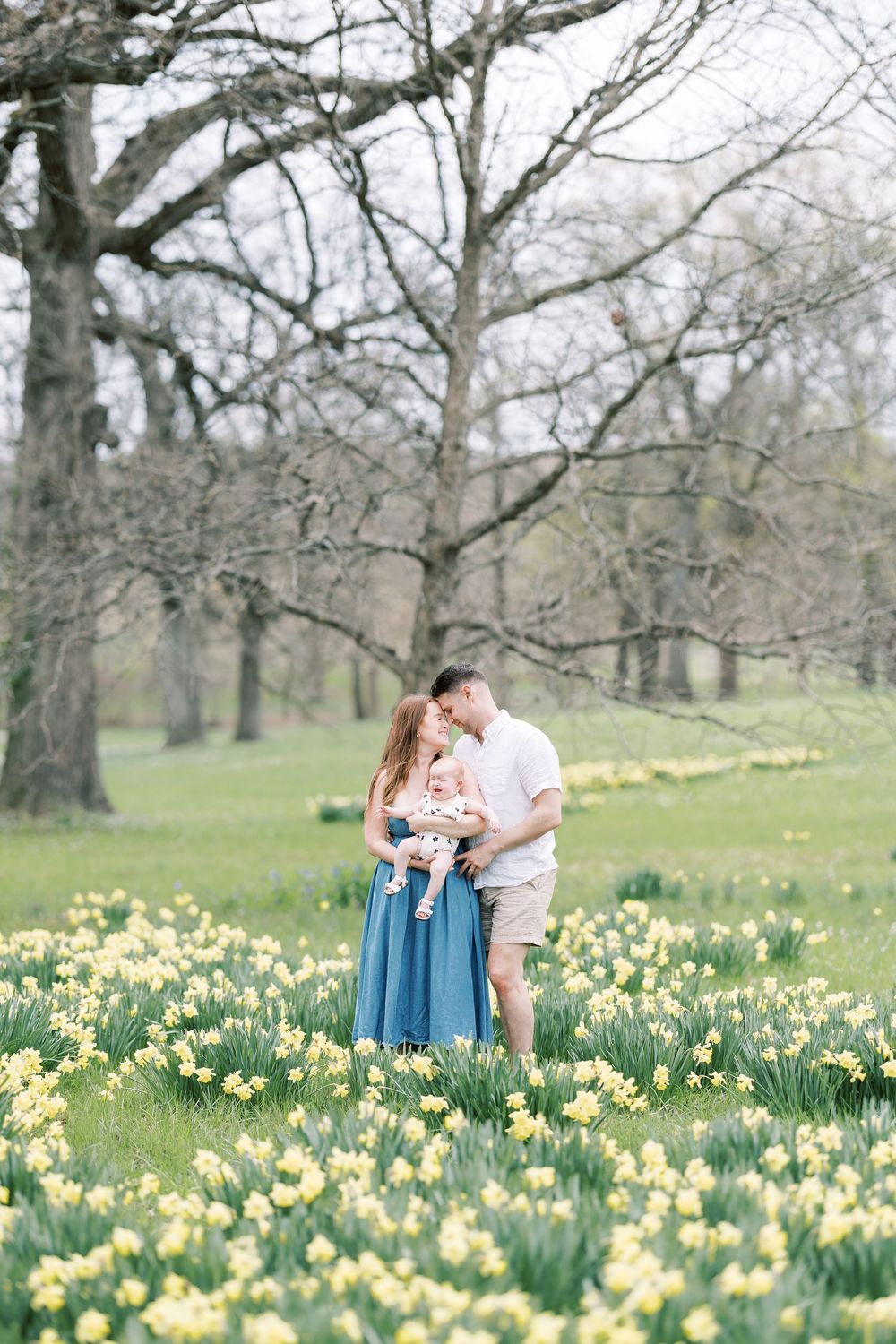 A couple embraces in a spring meadow filled with blooming yellow daffodils under bare trees.