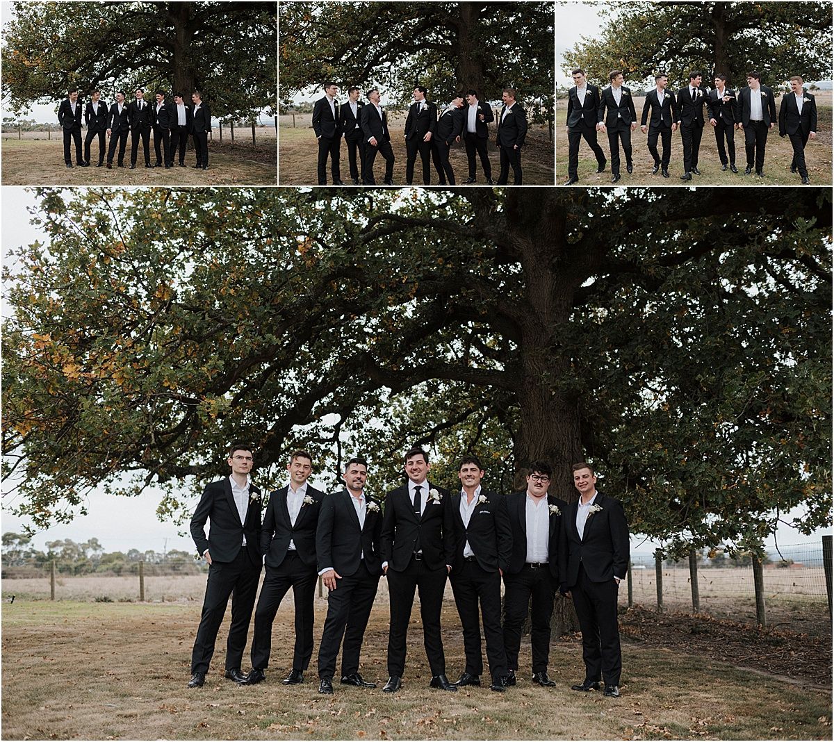 Collection of group photos showing wedding party in black suits posed under a large tree.