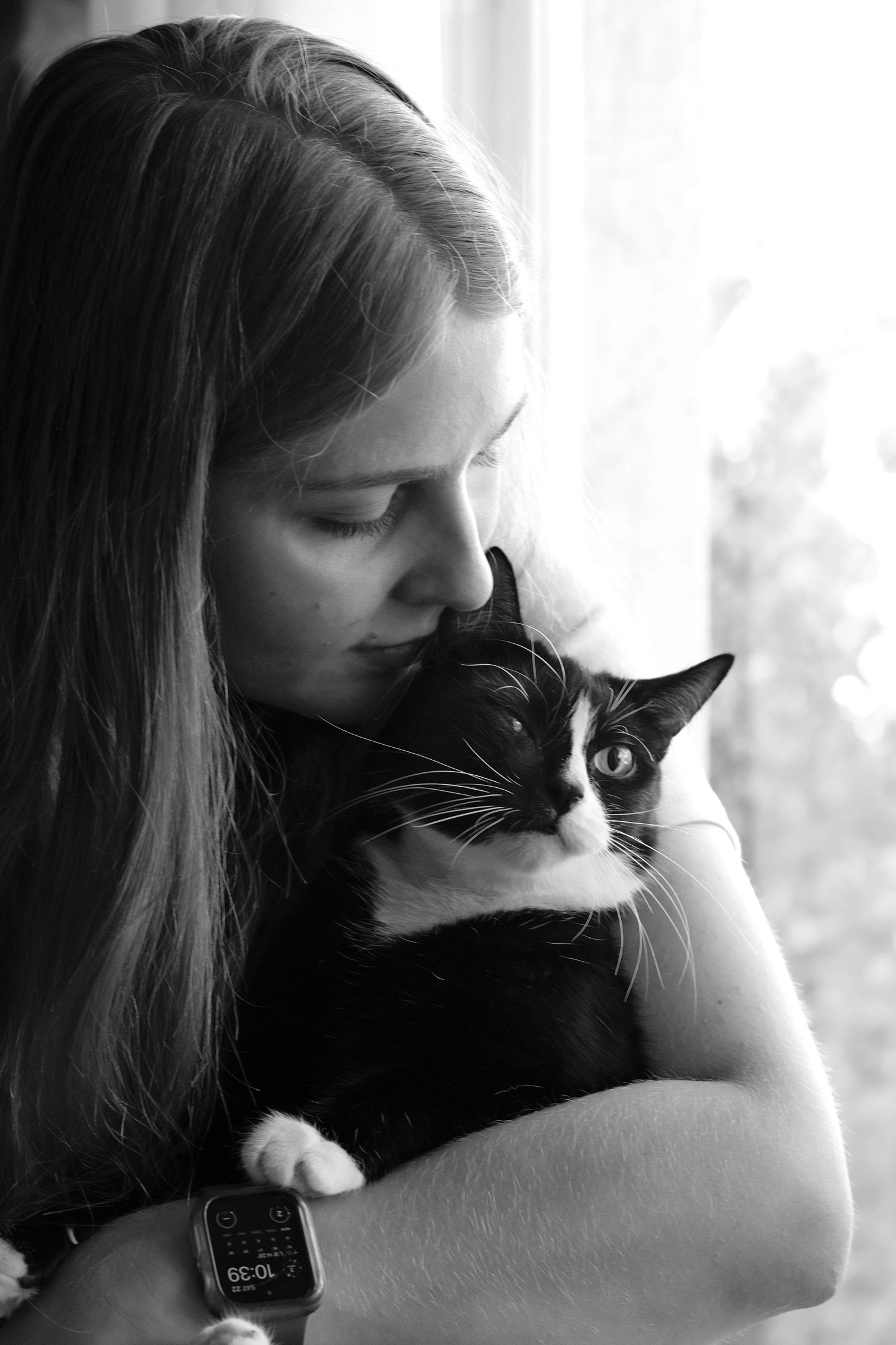 Pet memorial photoshoot melbourne