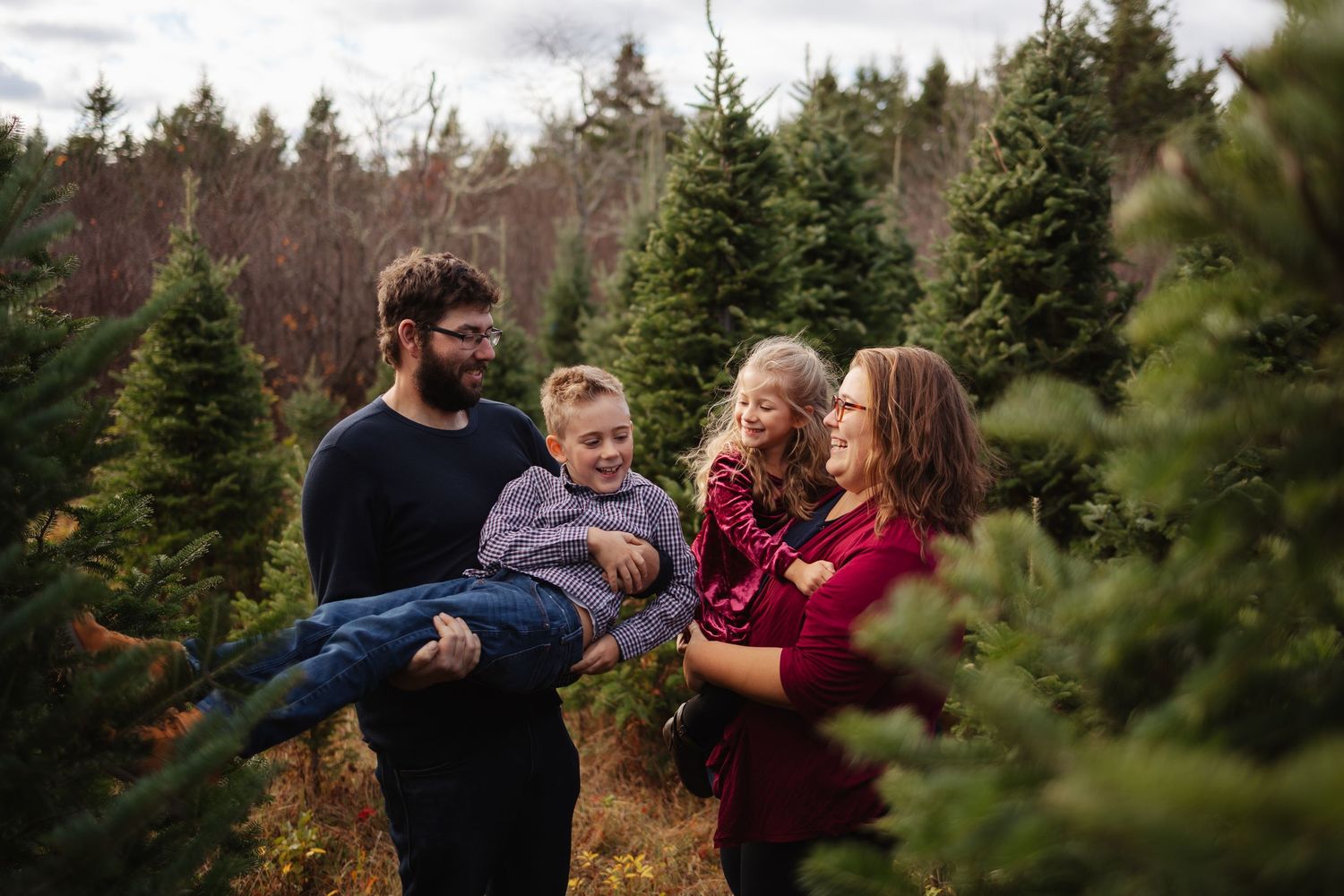 Thalie photography Family enjoying a Christmas tree farm outing, with dad holding son and mom carrying daughter among evergreen trees.