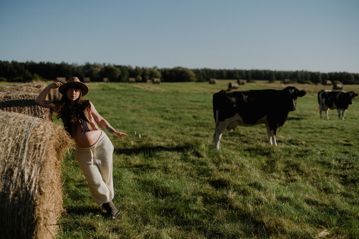 Cattle graze peacefully in a lush green pasture with hay bales scattered across the landscape.