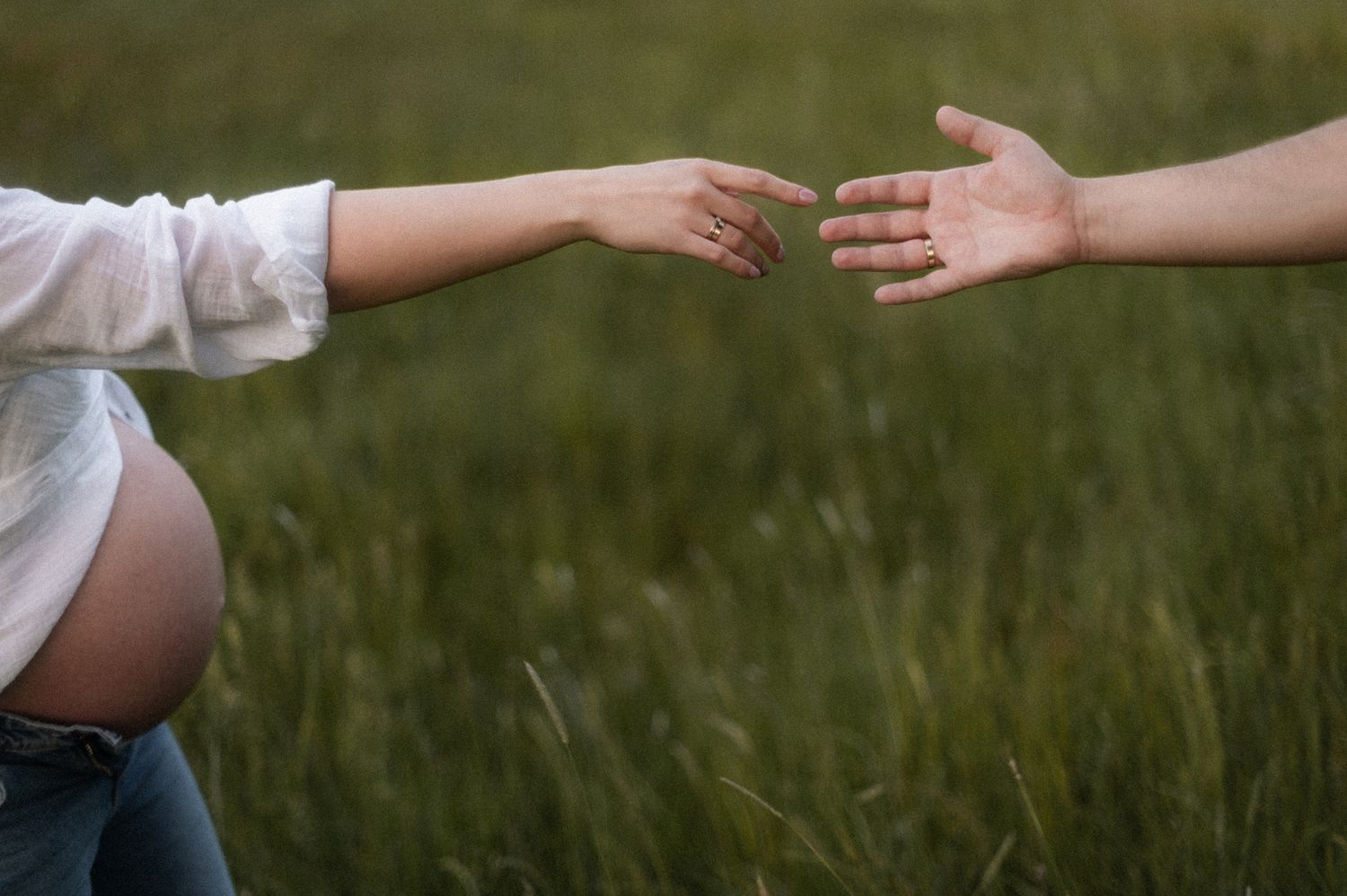 Two hands reach out to each other in a tender gesture against a blurred grassy background.