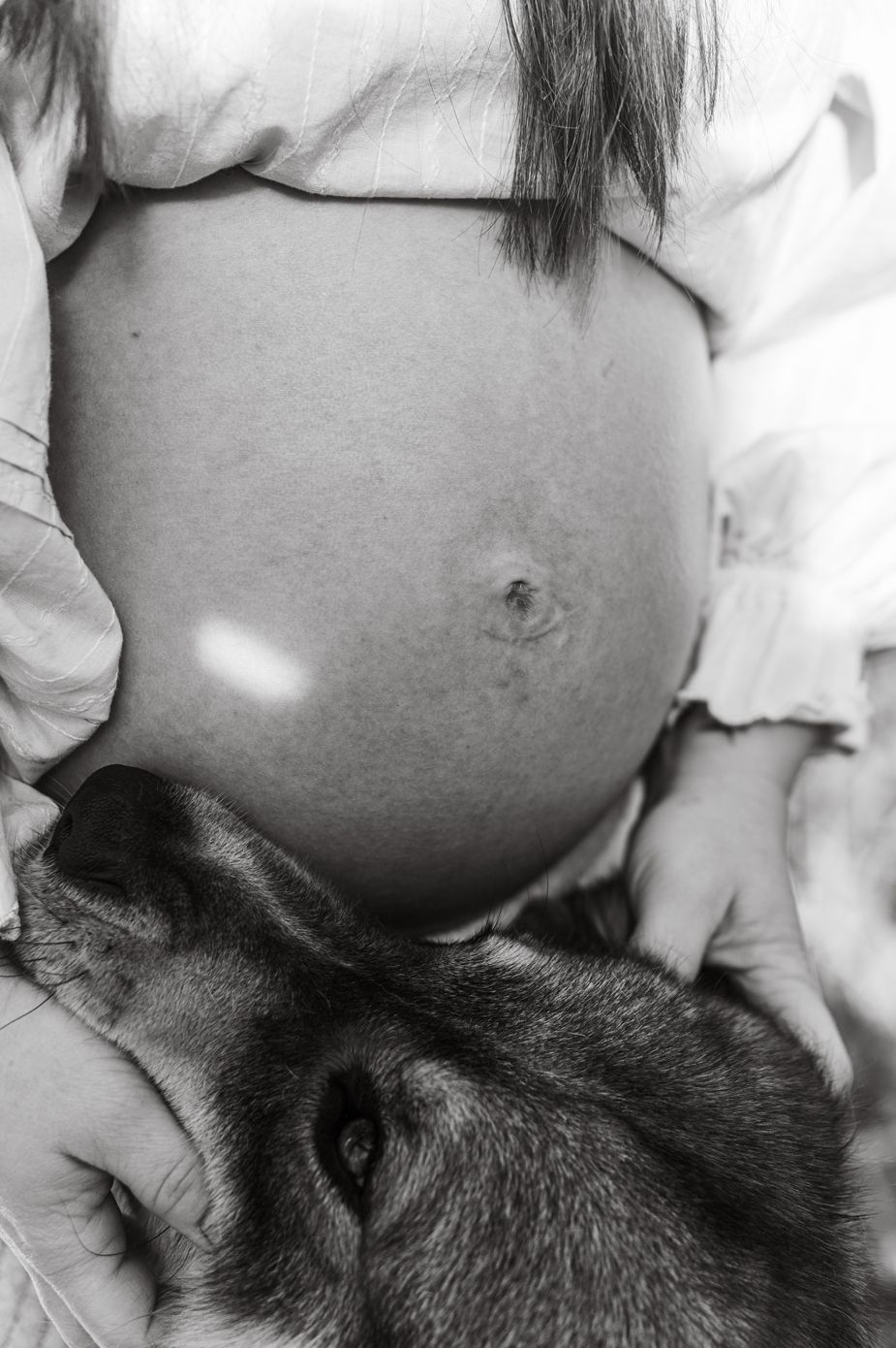 A black cat rests peacefully against a pregnant belly in a series of four black and white photographs.