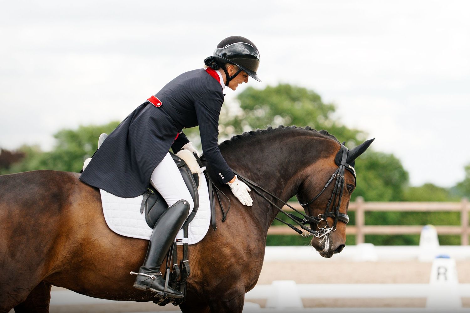 Fresia Visuals Equine