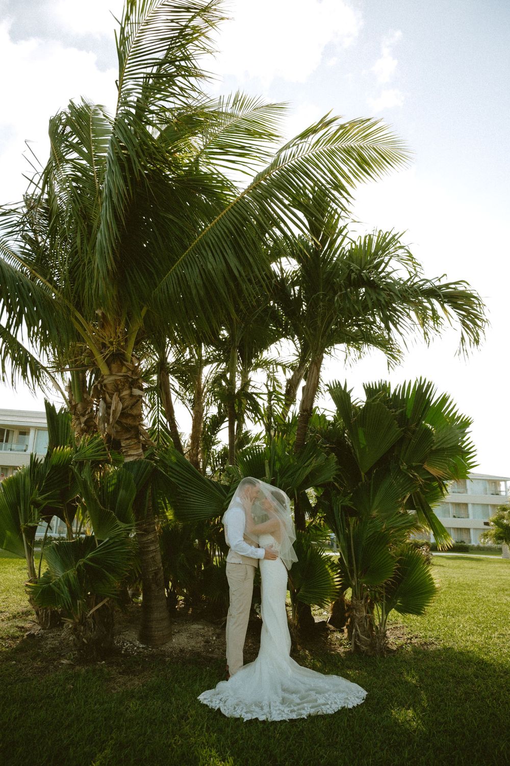 A couple embraces under tall palm trees on a grassy lawn with resort buildings in the background.