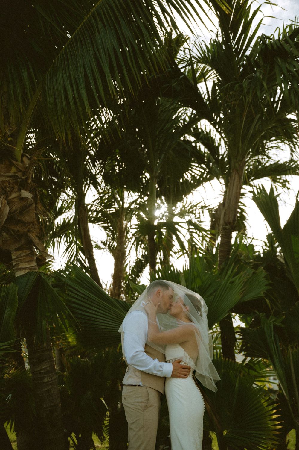 Newlyweds embrace under palm trees in a lush tropical garden setting with flowing white veil.