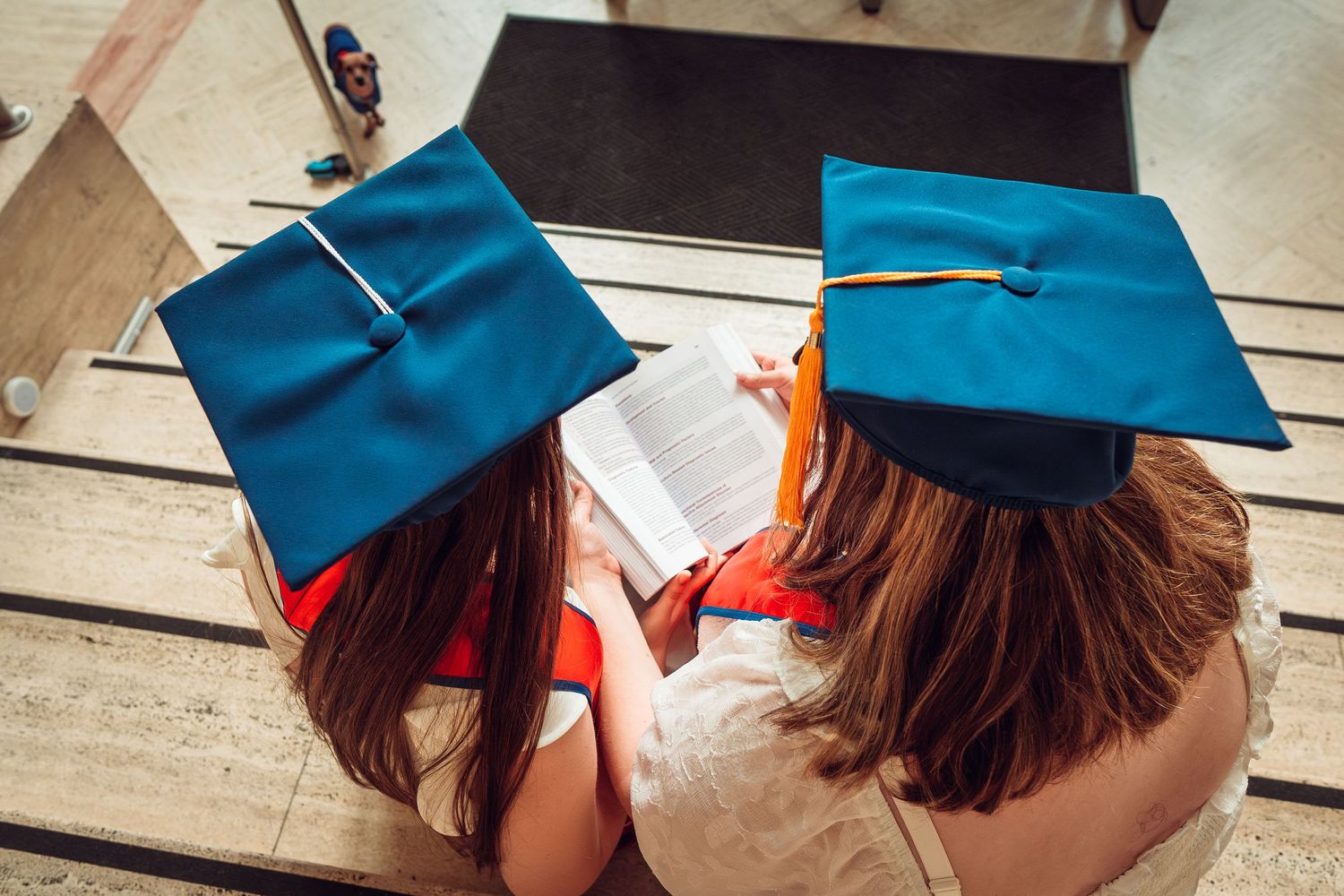 Row of blue graduation caps shown in close-up detail.