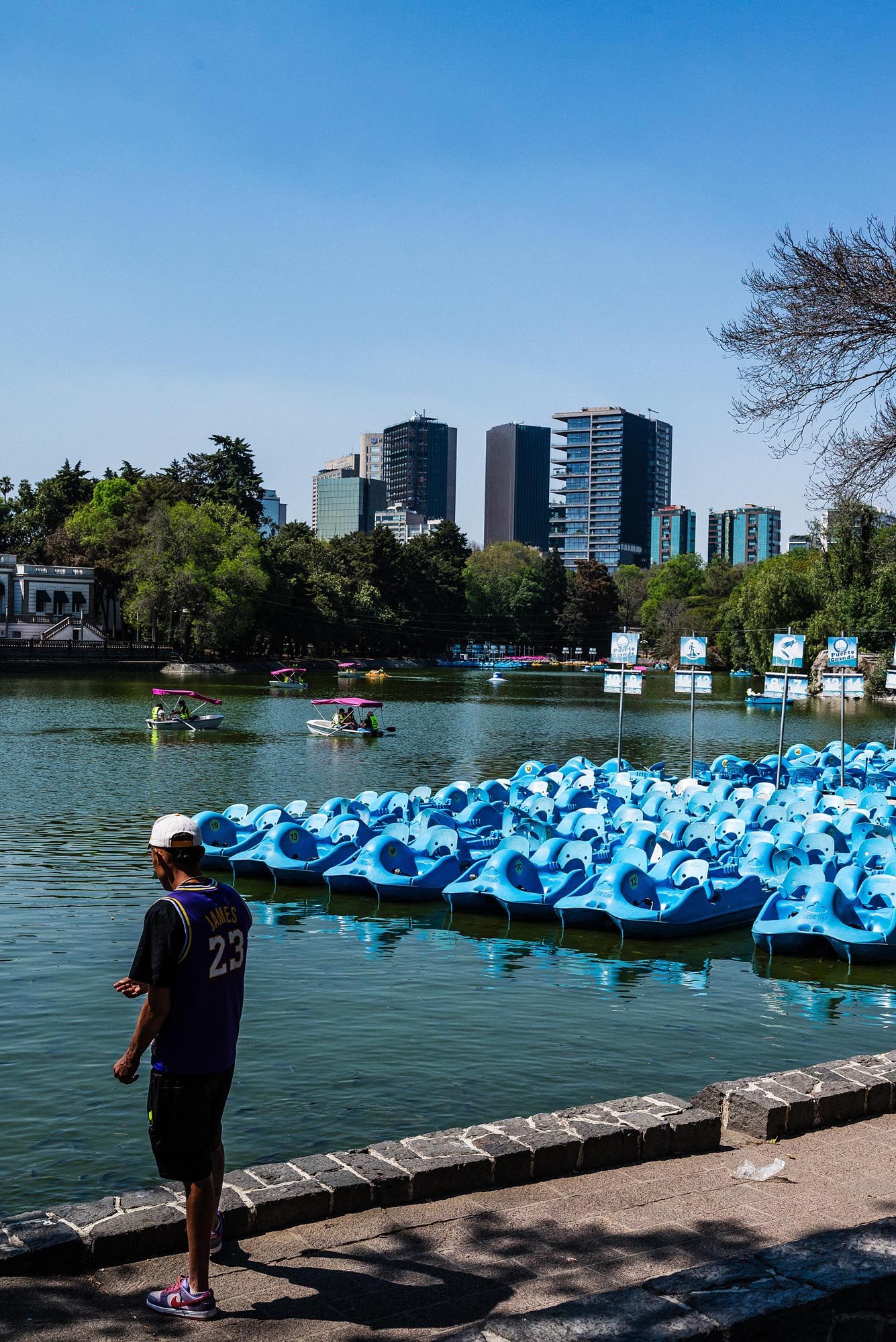 Blue paddle boats lined up along a dock at a lake with city buildings visible in the background on a sunny day.