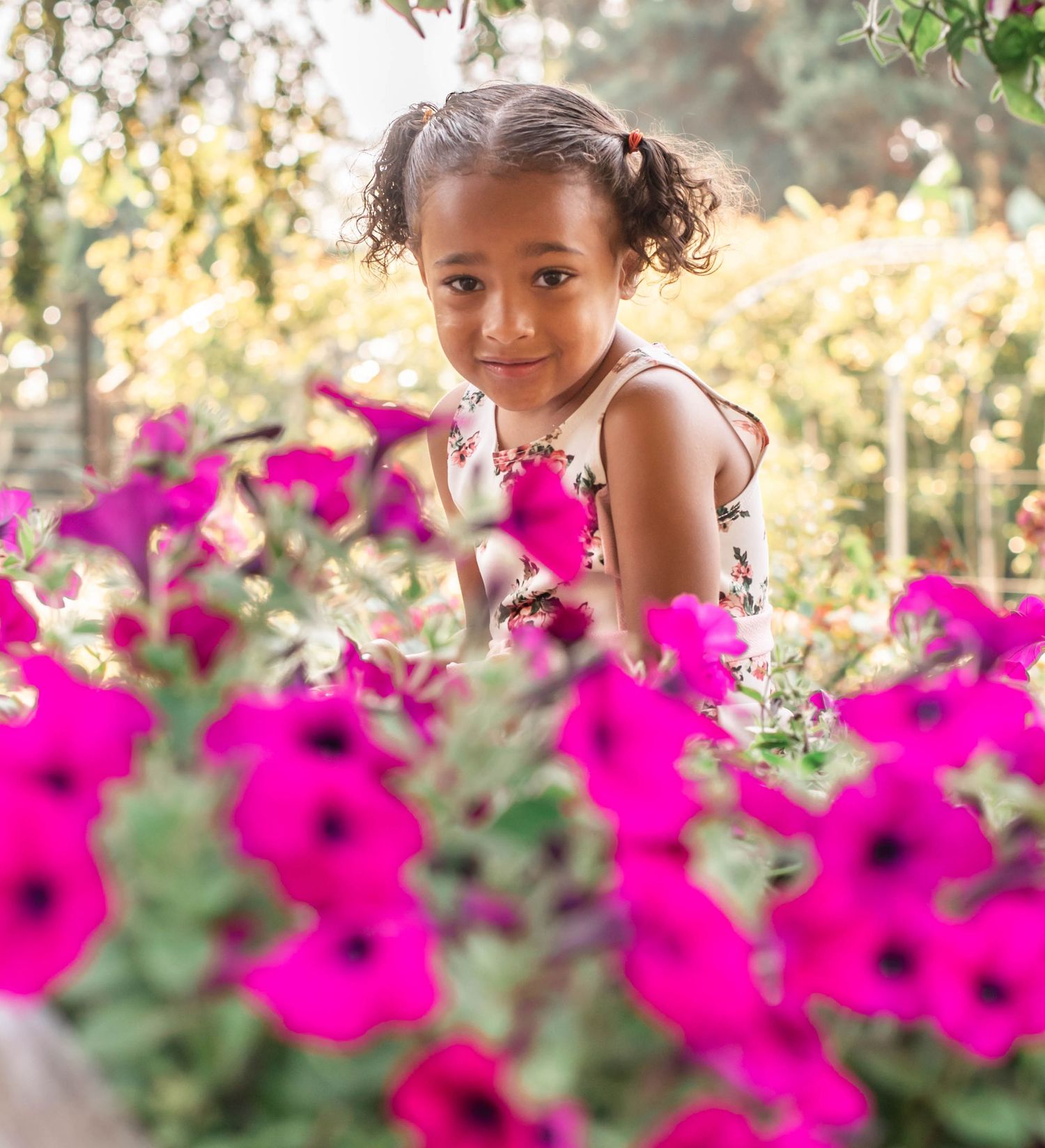 Bright pink petunias bloom in a garden with soft sunlit bokeh effect in the background.