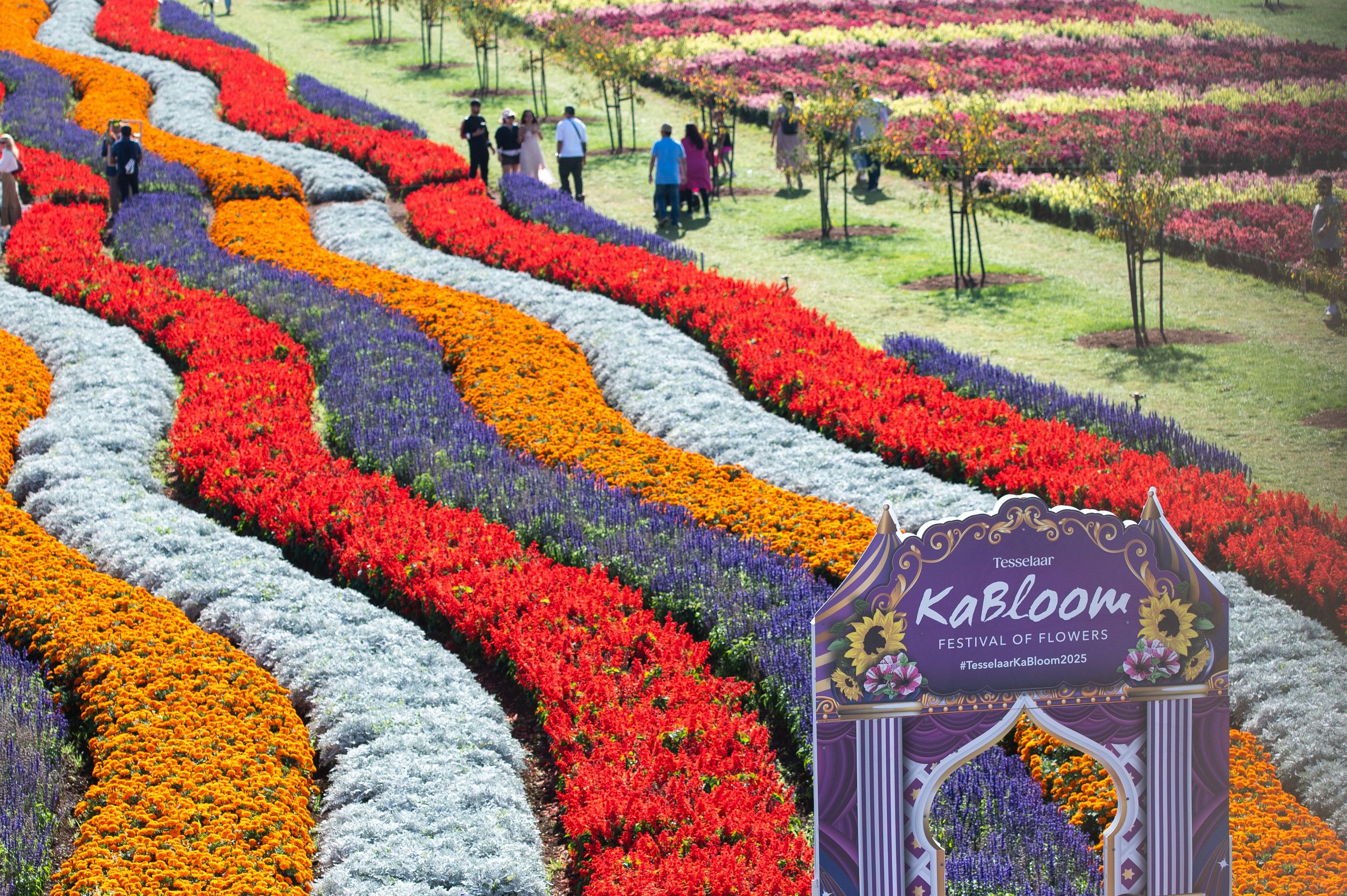 field of flowers and Kabloom festival