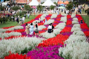 People in Fields of Flowers