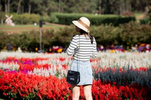People in Fields of Flowers