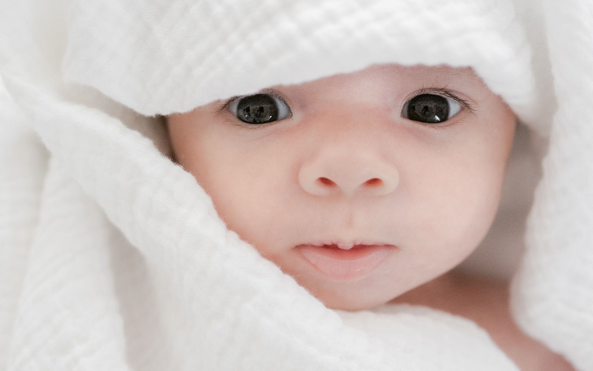 Close up of a newborn baby peeking out of a white blanket at an in home Vancouver photo session with tashtakespics