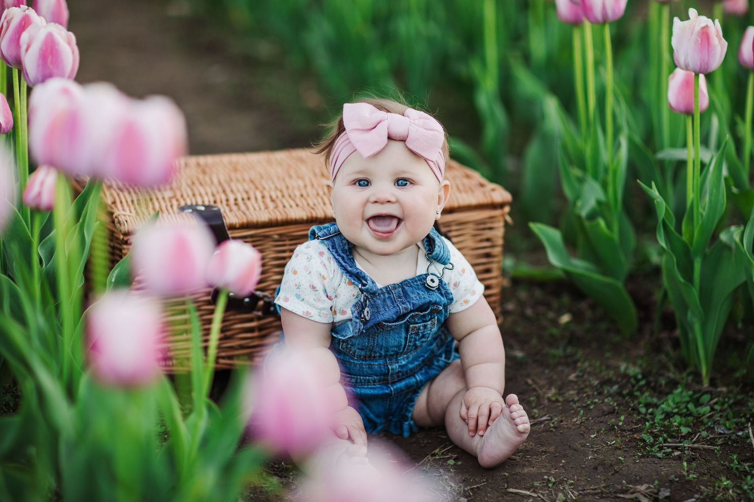 Holiday mini sessions