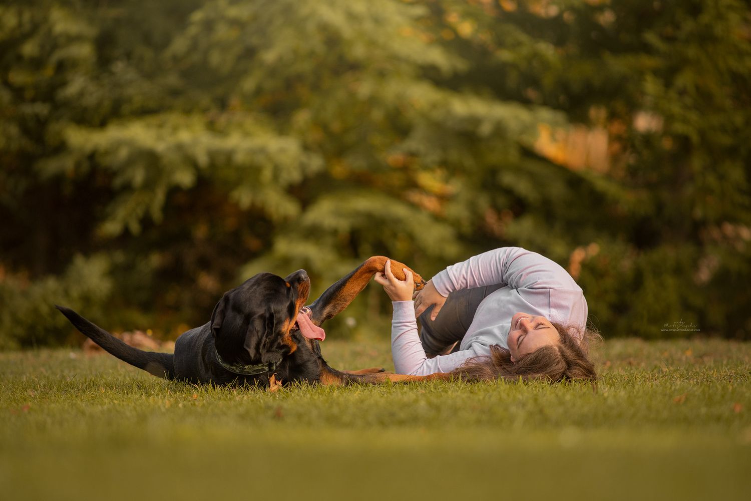 human-dog-photoshoot
dog-portrait-photoshoot