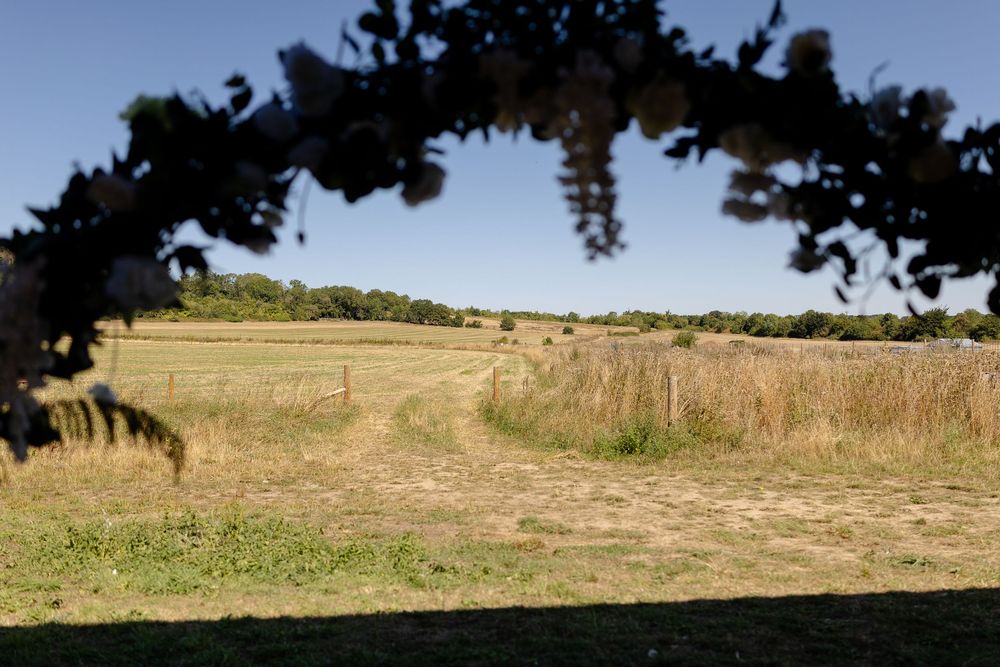 A rustic floral arch frames a scenic view of rolling countryside fields.