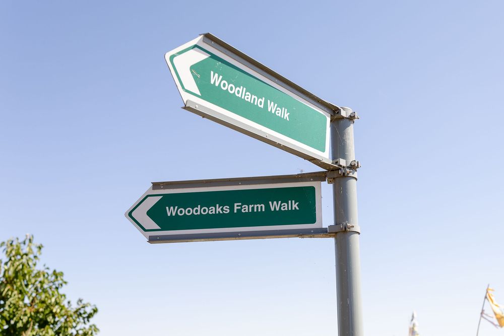 Green directional sign post for Woodlands Farm Walk against blue sky.