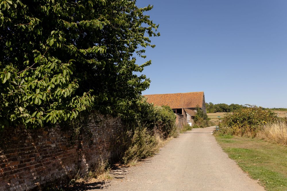 Dirt path leading through countryside with trees and buildings in distance.