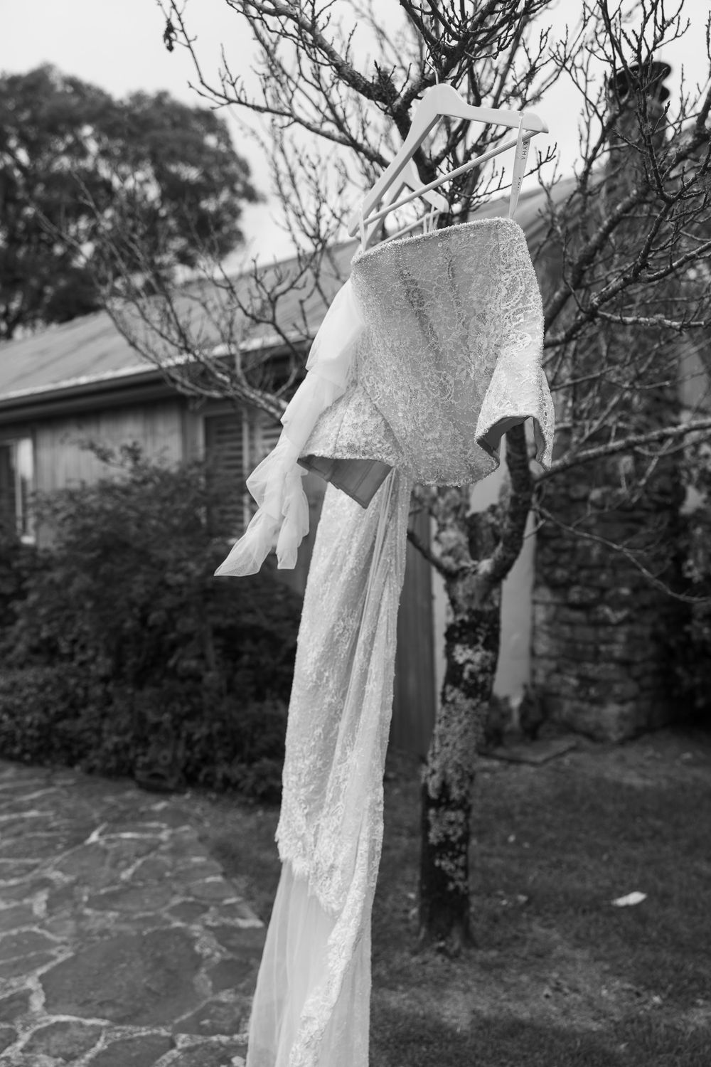 Black and white photo of a white lace wedding dress hanging on a hanger in a garden tree outdoors.