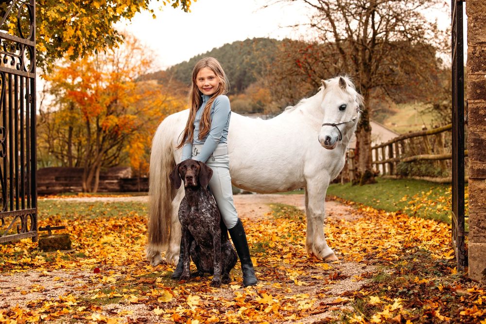 A white horse and companion enjoy a peaceful autumn day surrounded by golden fallen leaves.