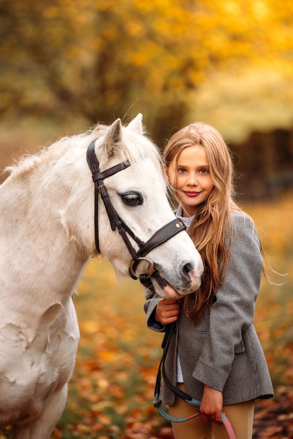 A white horse with black bridle poses against vibrant autumn foliage.