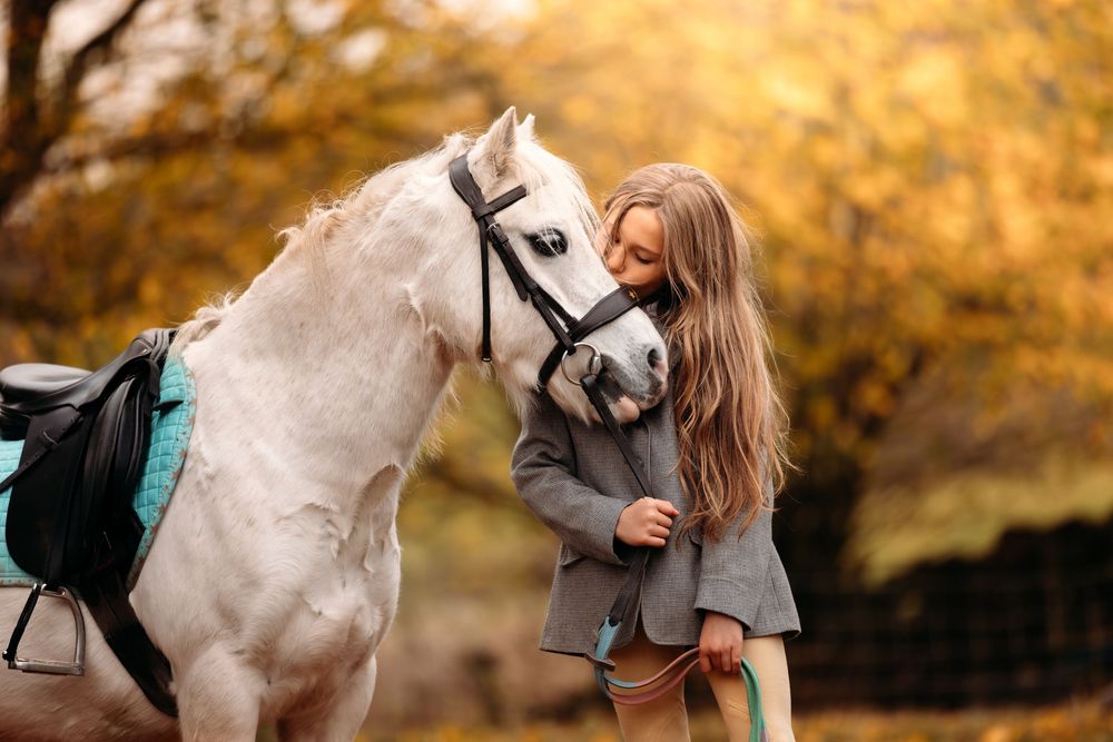 A gentle white horse shares a close moment with its companion amid fall colors.