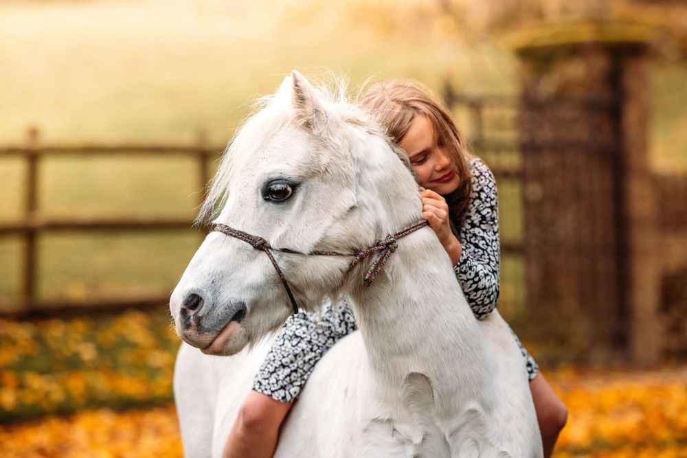 A beautiful white horse poses for photos in an autumn setting with fallen leaves.
