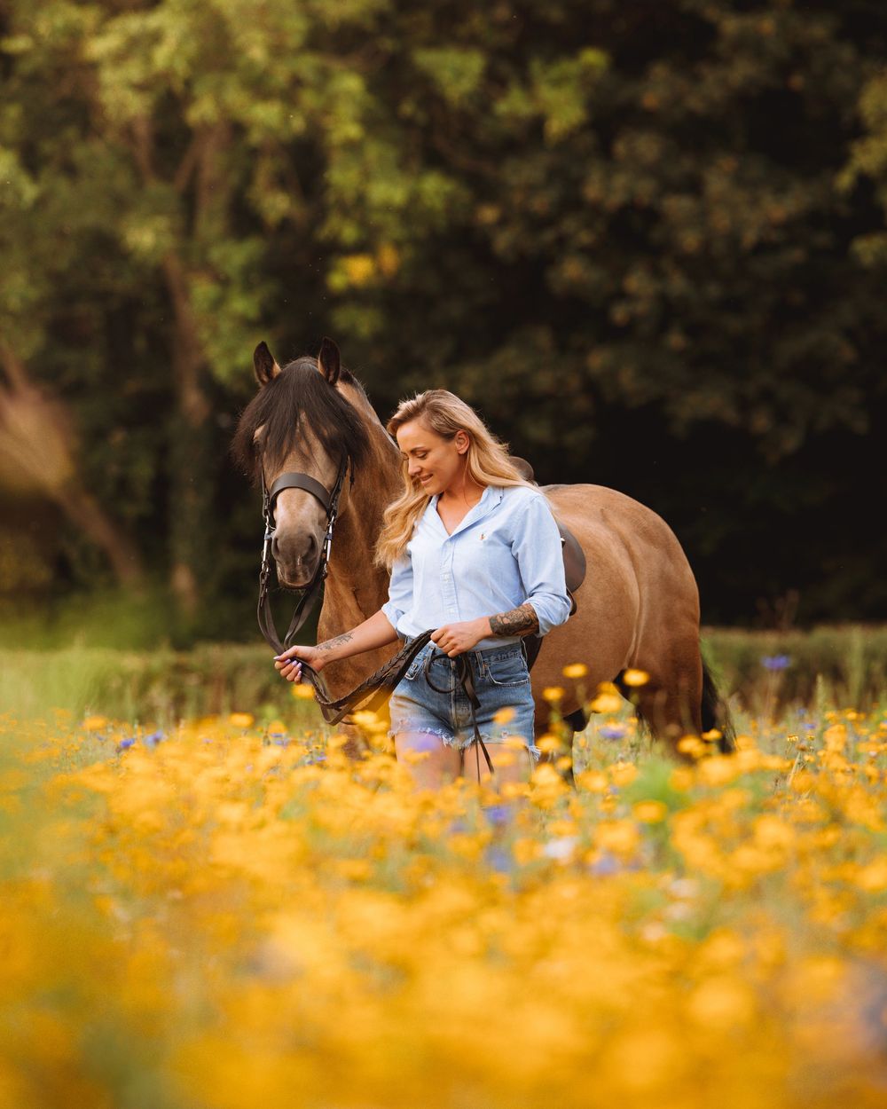 A horse and rider walk through a meadow filled with yellow summer flowers.