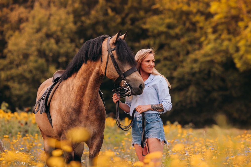 Horses and people stand in a golden field during autumn sunset.