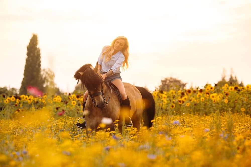 Horses and riders rest in a field of yellow flowers during sunset.