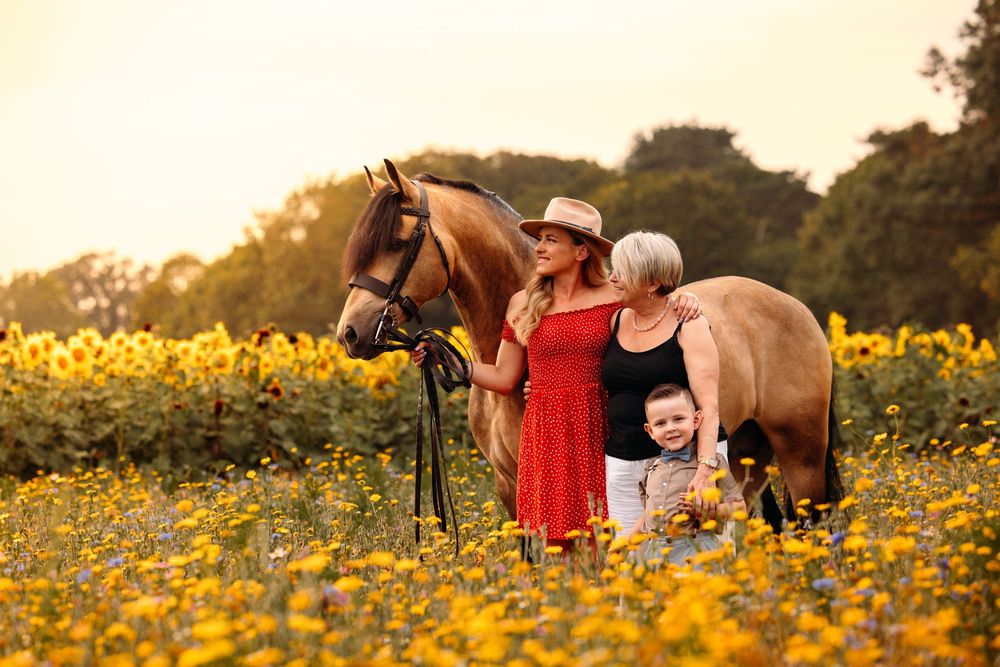 People and horses gather in a field of bright yellow wildflowers during golden hour.