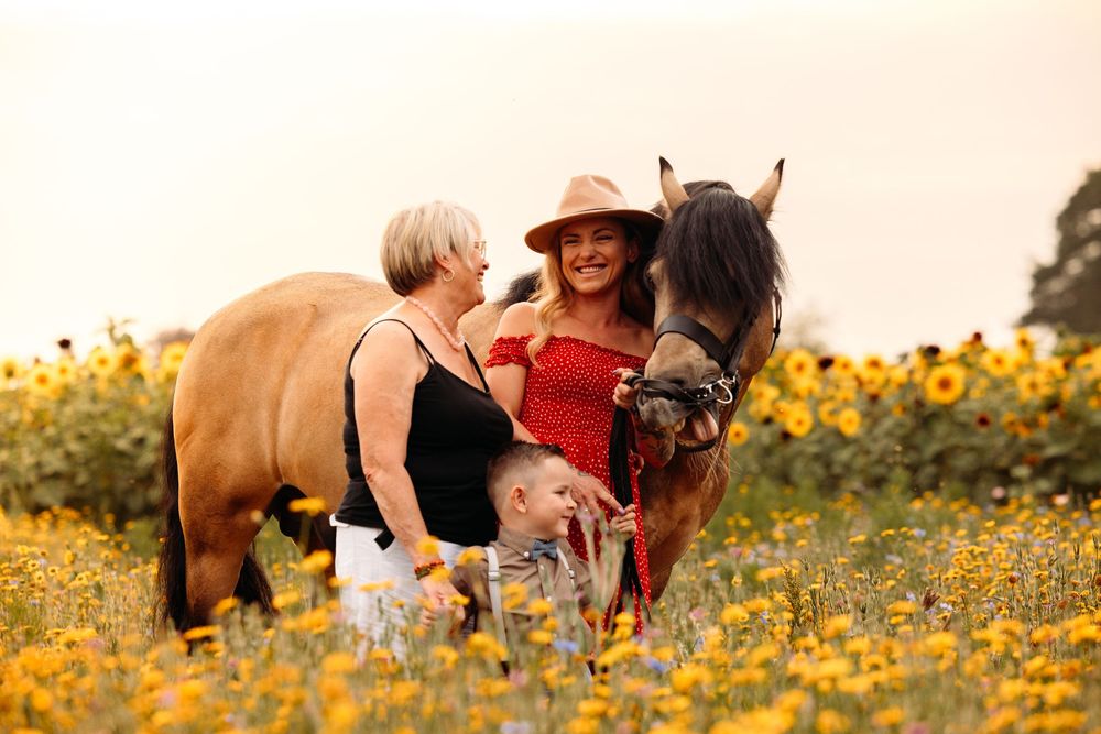 Horses and their handlers stand among vibrant yellow wildflowers at sunset.