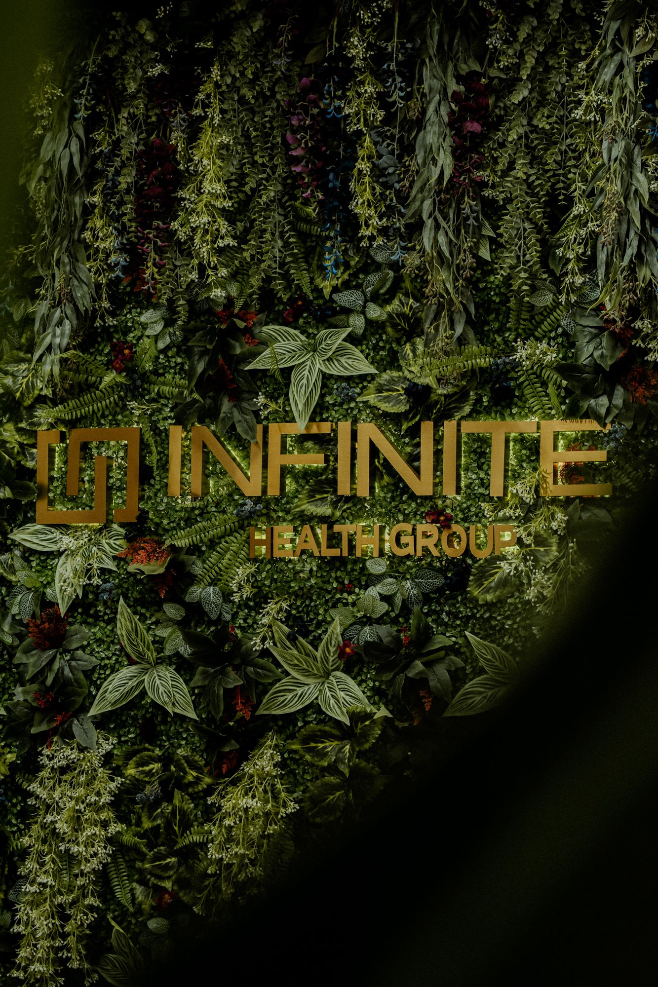 Illuminated 'Infinite' text logo displayed against a lush green foliage wall backdrop.