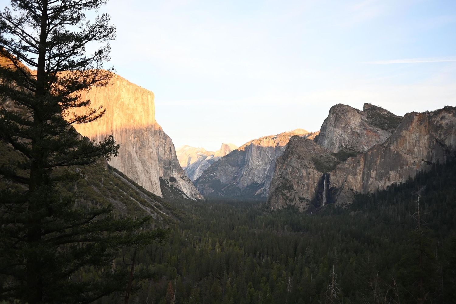 Panoramic view of Yosemite Valley at sunset with iconic granite cliffs and evergreen forest in golden light.