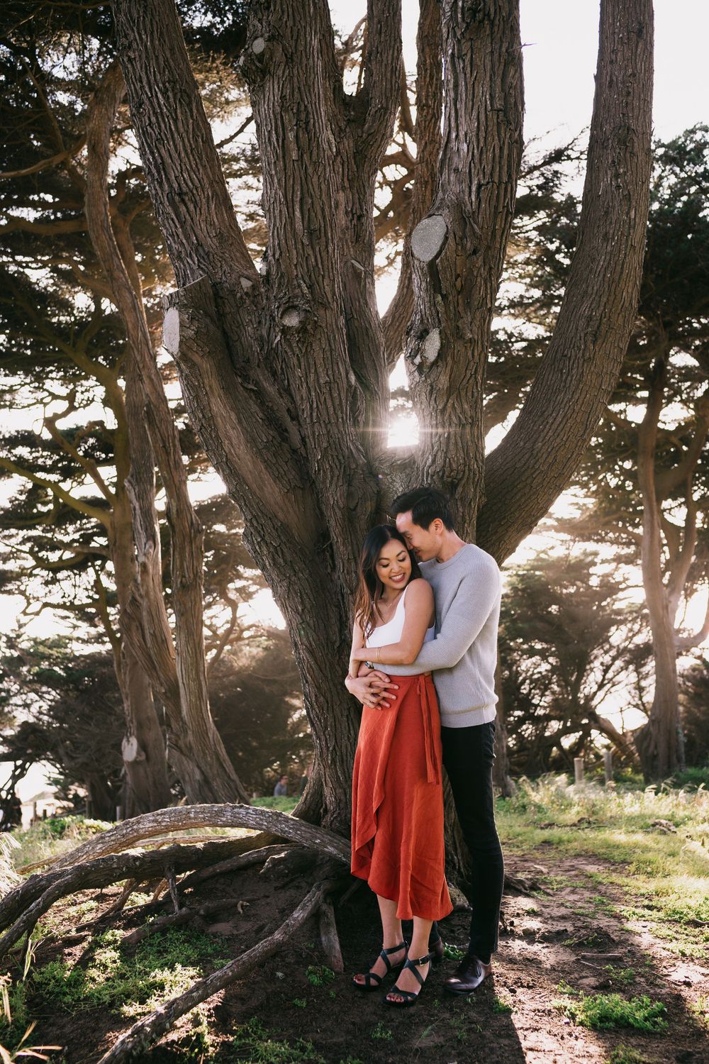 Couple embracing under a large cypress tree with golden backlight in a lush forest setting.